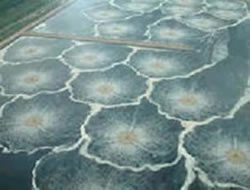 aerated basin ledesma paper mill