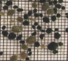 Anaerobic Granules