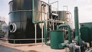 membrane bioreactor